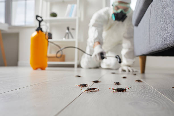 Trusted Mosquito Control service in Copperas Cove, TX - Nex Pest Control
