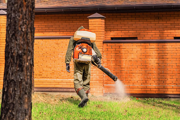 Trusted Bed Bug Control service in Copperas Cove, TX - Nex Pest Control